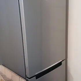 Holadelnik