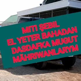 miti sement kerpic gum cageq1