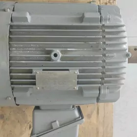 Elektro mator