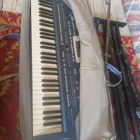 korg pa800
