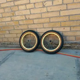 14 lik kalyos