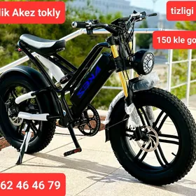 TIGIR MATOR KALYASGA BASEYKA