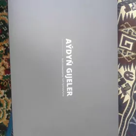 Aydyn gijeler