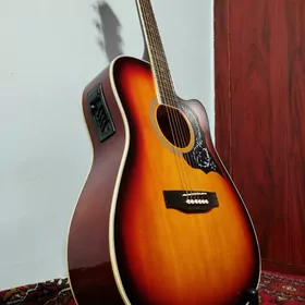 FENLIN ELEKTRO AKUSTIK GITARA