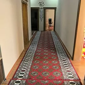 satlyk plan jay bagyr