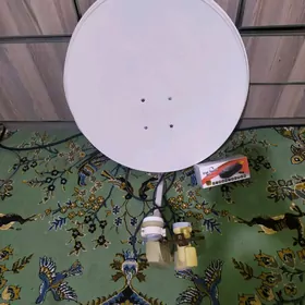 telewizor anten tunir