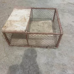 Towuk jyje yeşşik