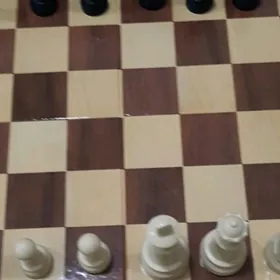 Шахматы