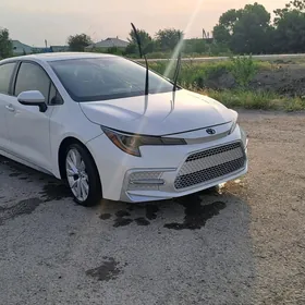 Toyota Corolla 2022