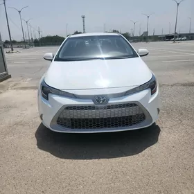 Toyota Corolla 2022