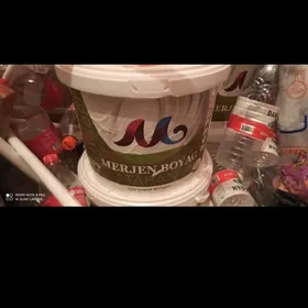 gaz plita-boýlar