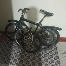Brawer