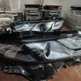 Camry fara morda