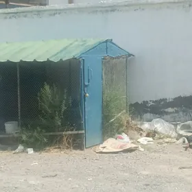 Towuk ketek