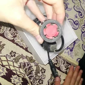 led çyra