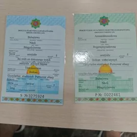 dogulus hakynda sahadatnana