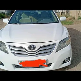 Toyota Camry 2010