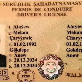 iş gözleyan
