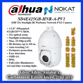 Network PTZ Camera 4MP 25x Starlight IR WizSense