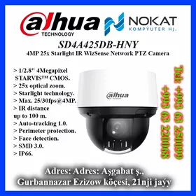 IP PTZ Camera 4MP 25x Starlight IR WizSense