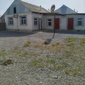 Gokdepe Saman