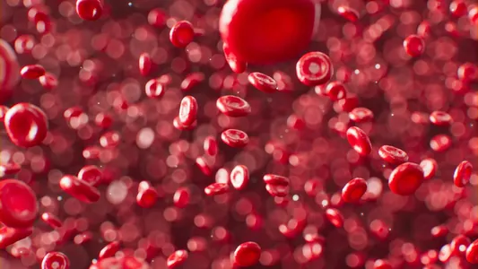 У женщины из Гваделупы обнаружили новую группу крови