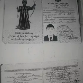 zagran wayeniblet