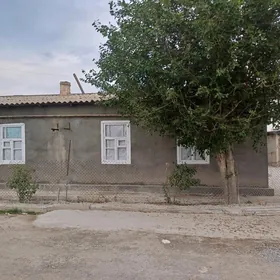 satlyk pilan jay