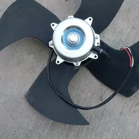 Konsoner lops 40lyk