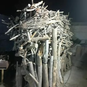 Odun
