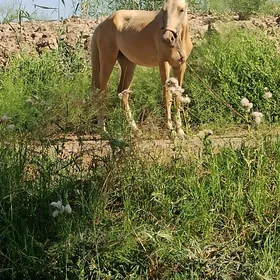 At