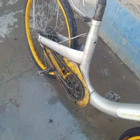 o bike