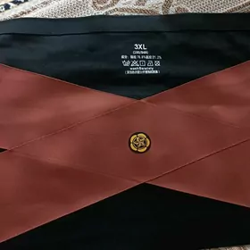 Magnitly poýas