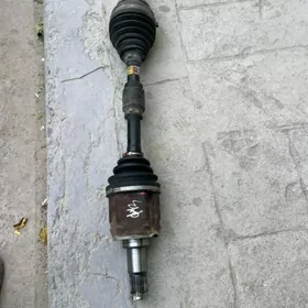 haylander granat