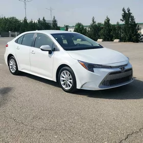 Toyota Corolla 2022