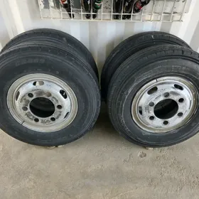 Teker misbişi canter