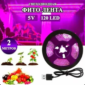 фитоЛента
