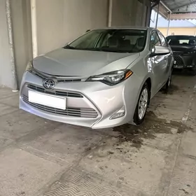 Toyota Corolla 2019