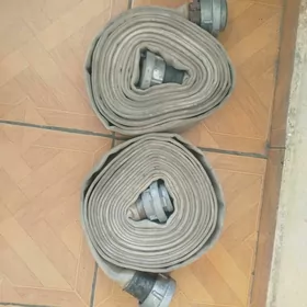 Slanga 50 lik
