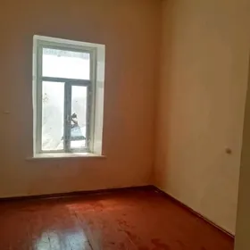 Satlyk opshi dwor
