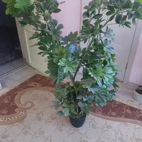 искуственные растения