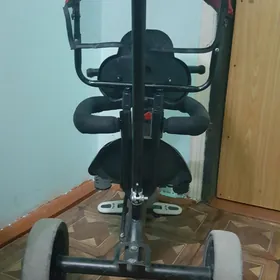 Çaga tigiri