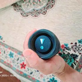 JBL Flip 6