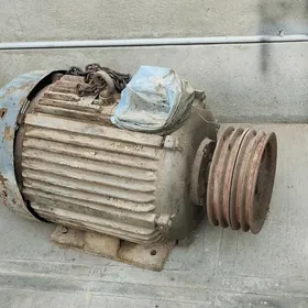 Elektromator