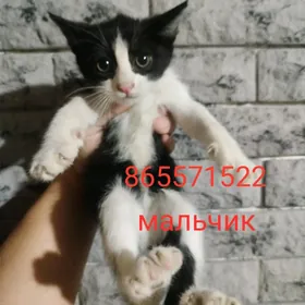 г.Ашхабад