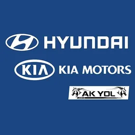 HYUNDAI KIA MORDA