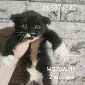 г.Ашхабад