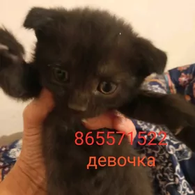 г.Ашхабад
