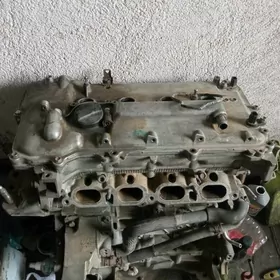 Dual mator zapjaslyk