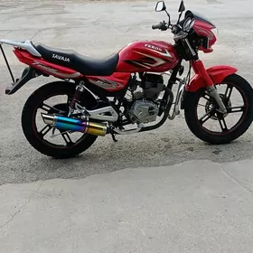 Fekon FK150-8G 2025